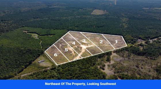 Choctaw County's Premier Jewel: A Stunning 6-Lot Subdivision Awaits! in Choctaw County, MS