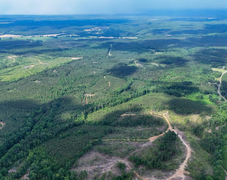 Webster, Mississippi’s Hidden Gem: Luxury 8‑Lot Subdivision! in Webster County, MS