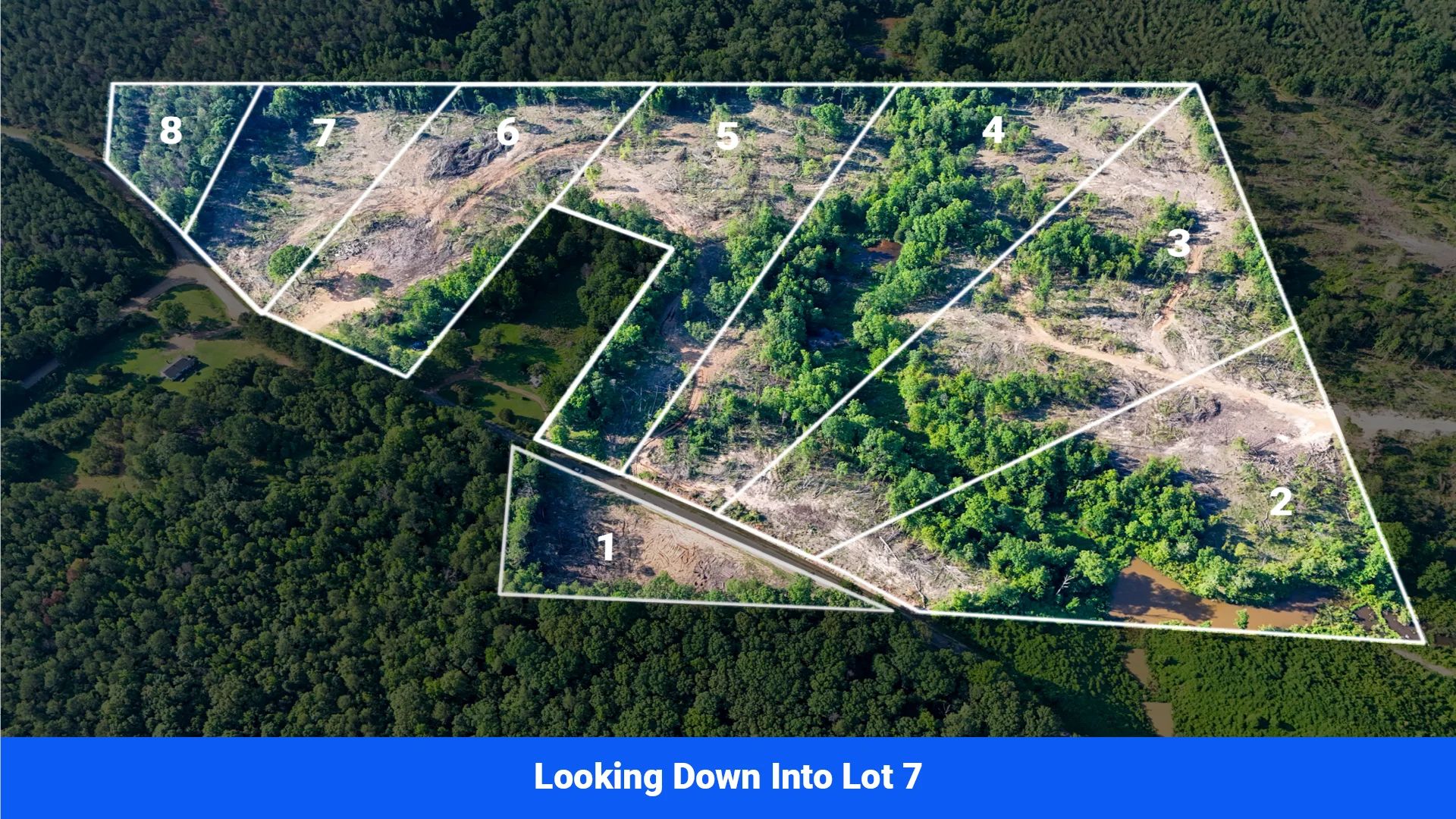 Webster, Mississippi’s Hidden Gem: Luxury 8‑Lot Subdivision! in Webster County, MS