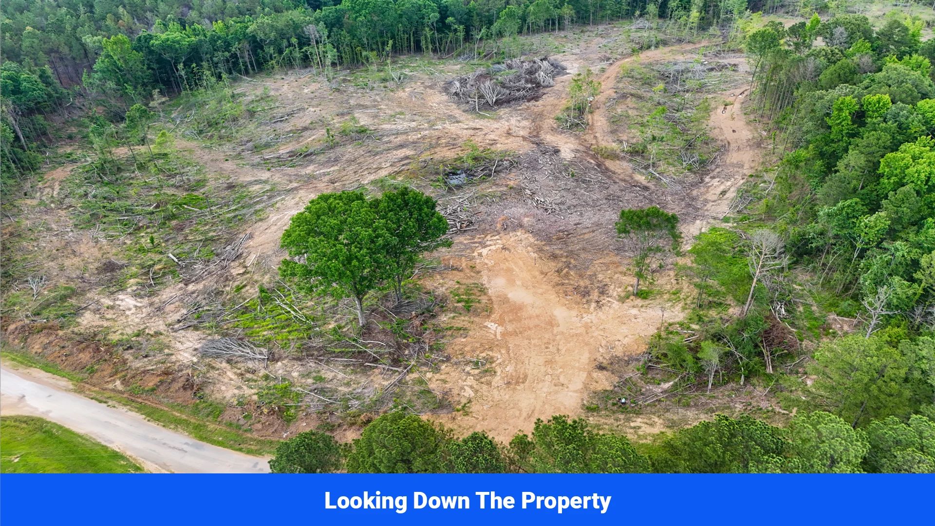 Webster, Mississippi’s Hidden Gem: Luxury 8‑Lot Subdivision! in Webster County, MS