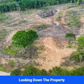 Webster, Mississippi’s Hidden Gem: Luxury 8‑Lot Subdivision! in Webster County, MS