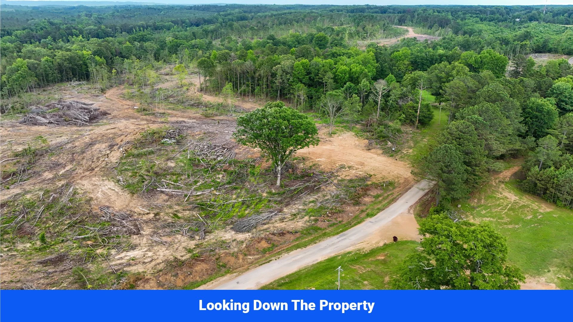 Webster, Mississippi’s Hidden Gem: Luxury 8‑Lot Subdivision! in Webster County, MS