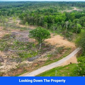 Webster, Mississippi’s Hidden Gem: Luxury 8‑Lot Subdivision! in Webster County, MS