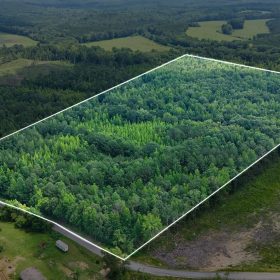 Itawamba County’s Premier Jewel: A Stunning 31.77-Acre Property in Itawamba County, Mississippi