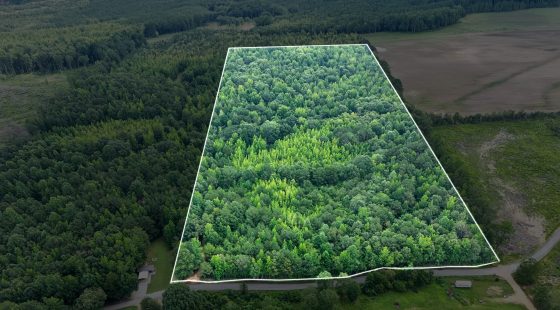 Itawamba County’s Premier Jewel: A Stunning 31.77-Acre Property in Itawamba County, Mississippi