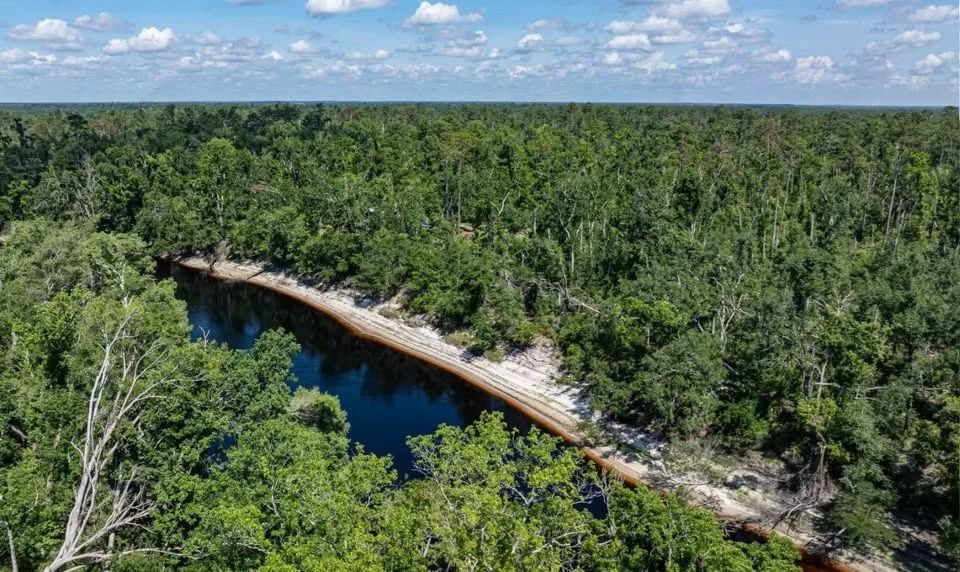 Suwannee River - Private, Affordable Land! in Suwannee County, FL