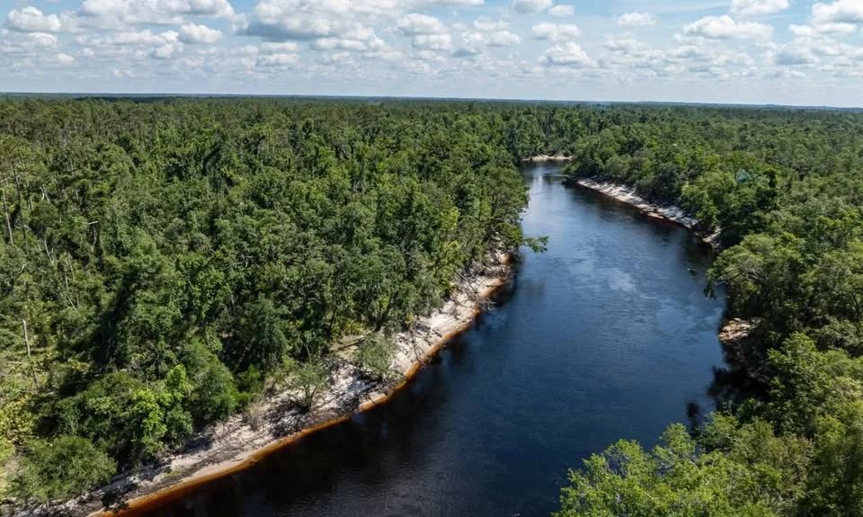 Suwannee River - Private, Affordable Land! in Suwannee County, FL