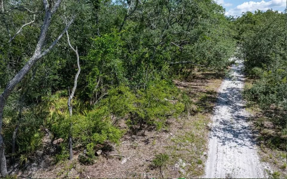 Suwannee River - Private, Affordable Land! in Suwannee County, FL