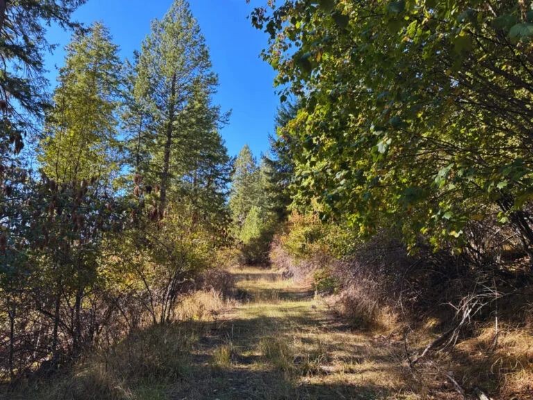 Lakeside Living in Bayview – 0.55 Acres with Power & City Water in Kootenai County, Idaho