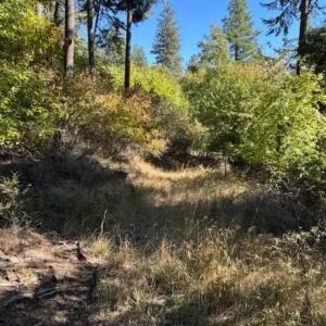 Lakeside Living in Bayview – 0.55 Acres with Power & City Water in Kootenai County, Idaho