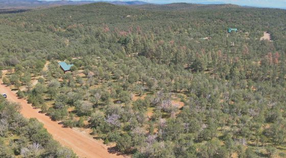 Fall in Love with Mountain Living – 2.49 Acres in Timberon, NM w/ Utilities🔌for Hassle-Free Build & Quiet Retreat in Otero County, NM