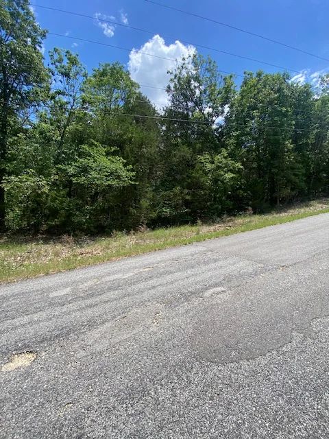 Twin Lakes 0.49ac Lot Horseshoe Bend AR in Izard County, AR