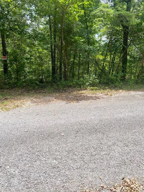 🌟 Add this Deed to your Portfolio at $100/mo., this is a Stellar Investment! 🌟 in Izard County, AR
