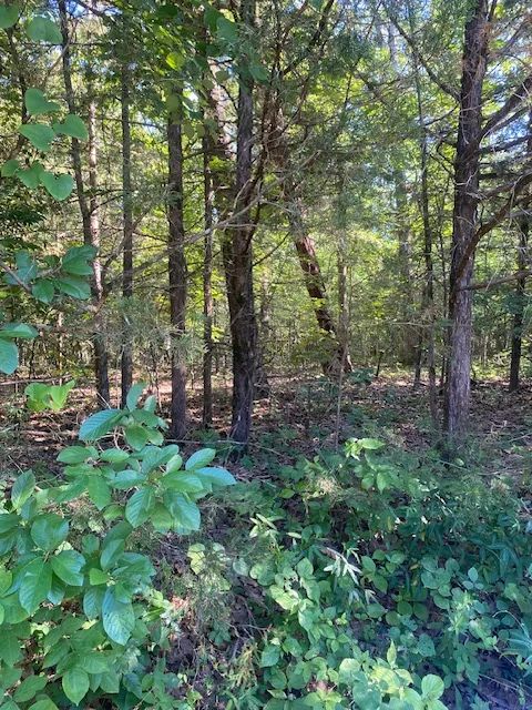 $140/mo for 48 mo to Retire next to 14th hole in Ozarks in Izard County, AR
