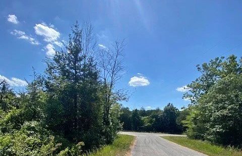 $100 Down • $100/Month • 0% Interest – 0.30 Acre Lot in Izard County, AR