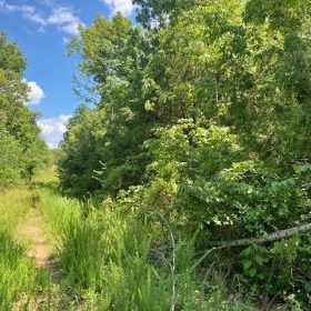 0.44 Acre Lot in Horseshoe Bend | $100 Down in Izard County, AR