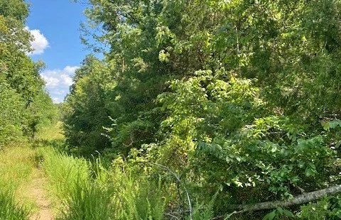 0.44 Acre Lot in Horseshoe Bend | $100 Down in Izard County, AR