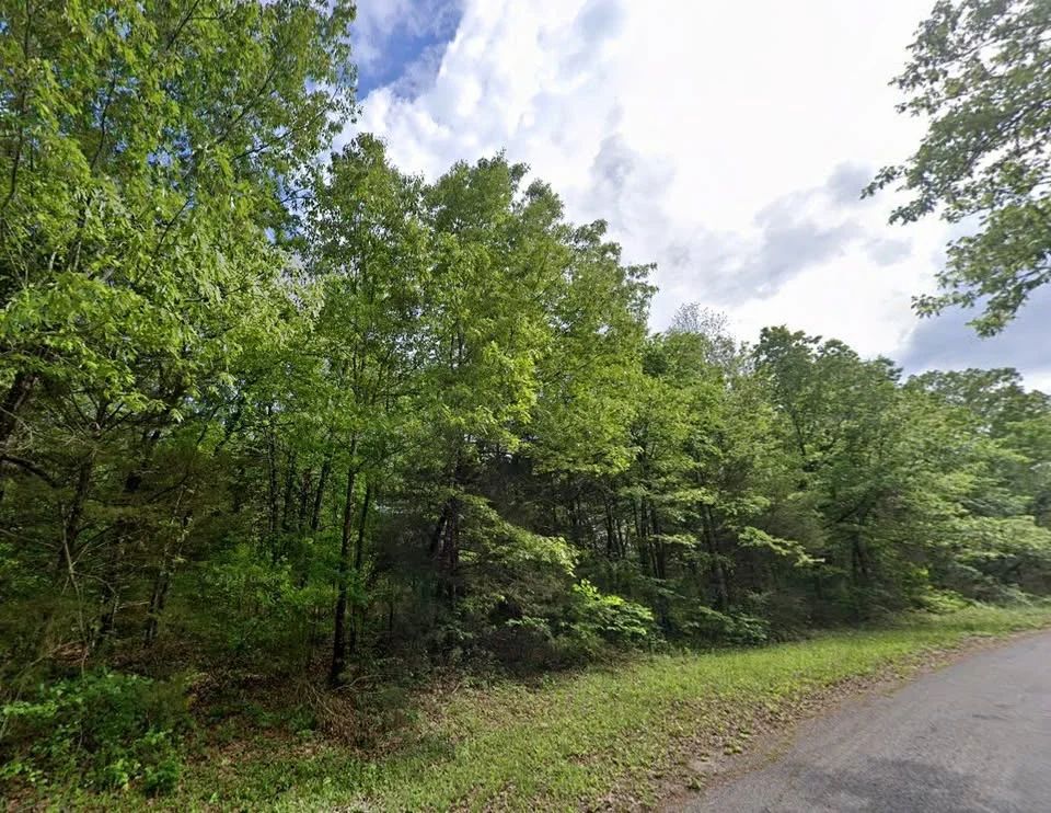 Own this 0.36 ac lot in the Ozarks for only $115/mo in Izard County, AR