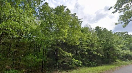 Own this 0.36 ac lot in the Ozarks for only $115/mo in Izard County, AR