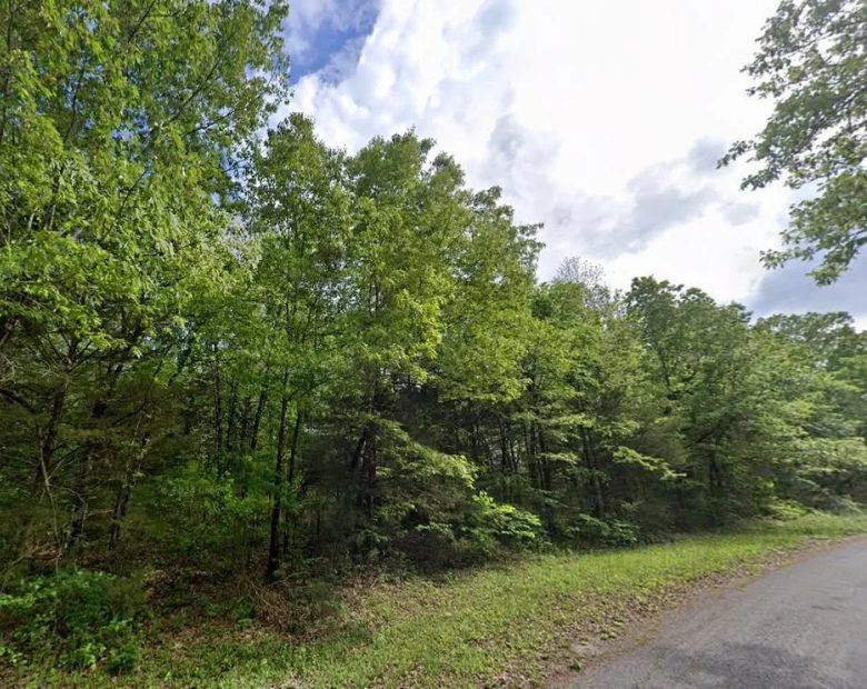 Own this 0.36 ac lot in the Ozarks for only $115/mo in Izard County, AR
