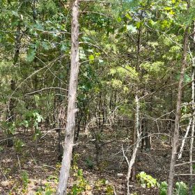 Crown Lake Area Lot With Paved Road Access in Izard County, AR