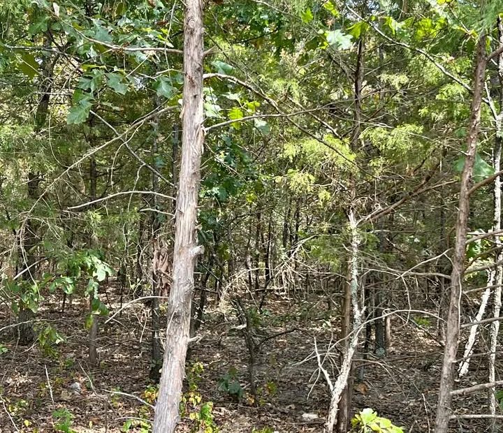 Crown Lake Area Lot With Paved Road Access in Izard County, AR