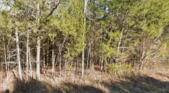 $250 Down Small Lot Near Lake Tenkiller – Park Hill, OK in Cherokee County, OK
