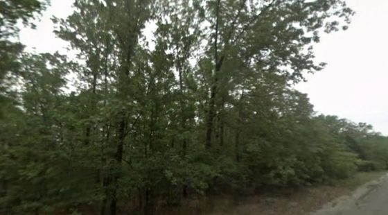 $115/mo Crown Lake Area Lot | $100 Down in Izard County, AR