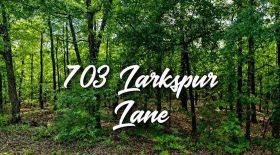 Lakeview Addition Lot Near Crown Lake Pier With $150 Down in Izard County, AR