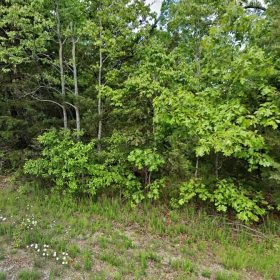 $120/mo Crown Lake Area Lot | $200 Down in Izard County, AR