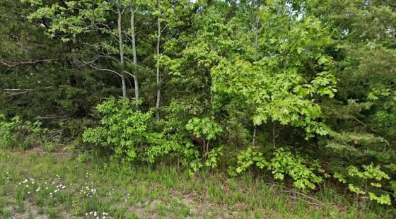 $120/mo Crown Lake Area Lot | $200 Down in Izard County, AR