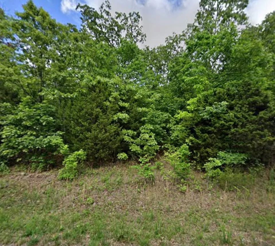 0.35 Acre Buildable Lot Near Crown Lake | $150 Down in Izard County, AR