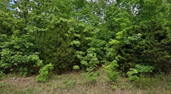 0.35 Acre Buildable Lot Near Crown Lake | $150 Down in Izard County, AR