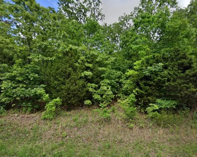 0.35 Acre Buildable Lot Near Crown Lake | $150 Down in Izard County, AR