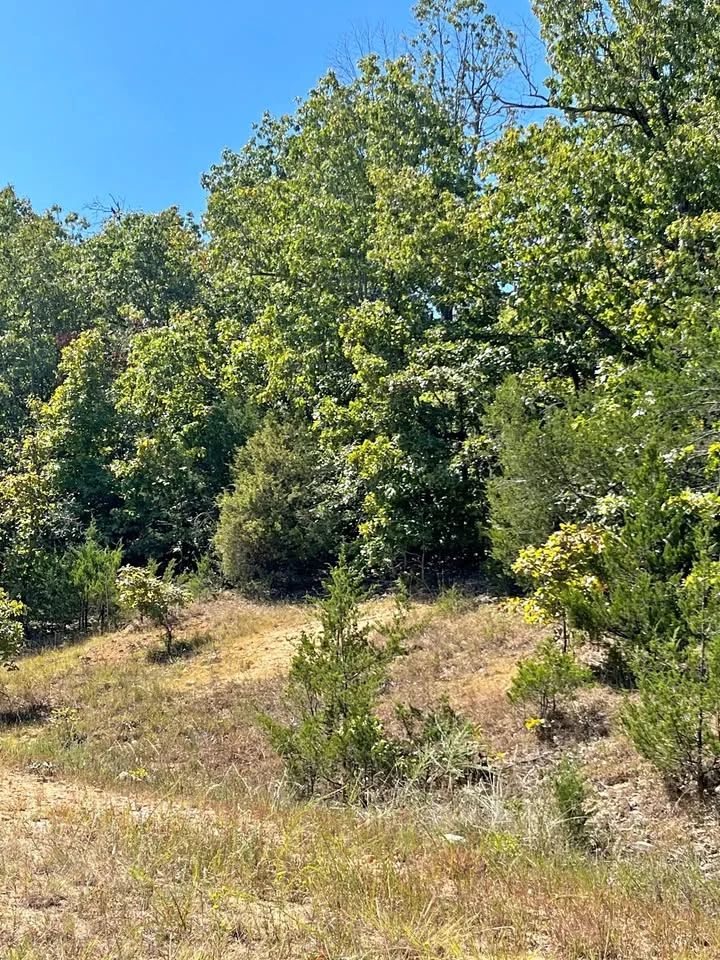 0.50 Acre Buildable Lot in Horseshoe Bend | $200 Down in Izard County, AR
