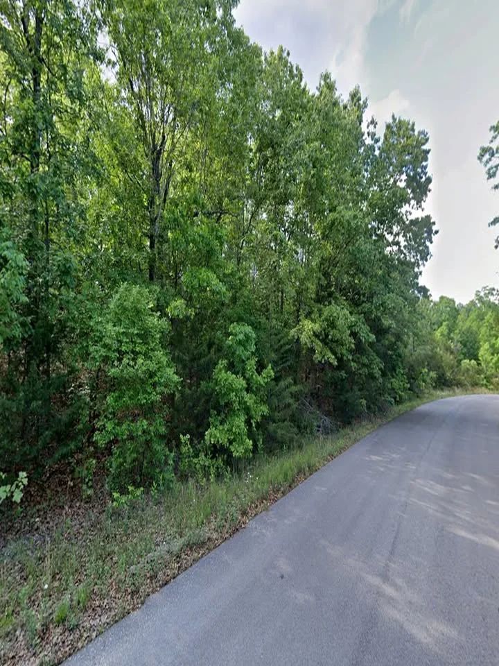 Paved Road Pine Ridge Lot Near Horseshoe Bend Lakes in Izard County, AR