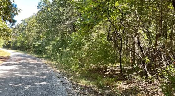 Crown Lake Area Lot With Simple Monthly Payments in Izard County, AR