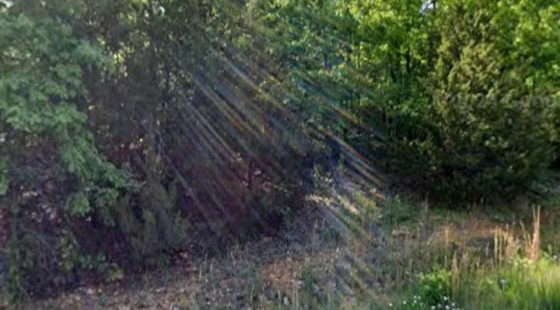 Paved Lynwood Lot With Simple Owner Financing in Izard County, AR