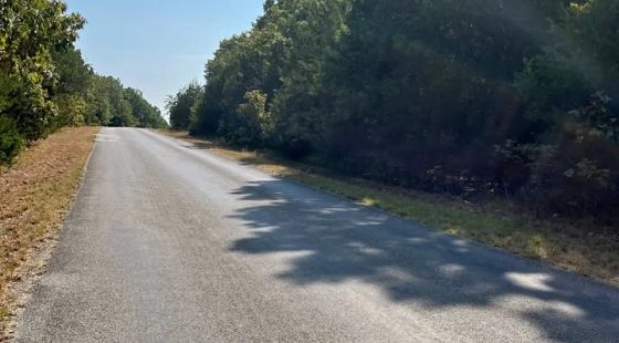 Spacious 0.67 Acre Lot in Horseshoe Bend, AR | Owner Financing Available in Izard County, AR