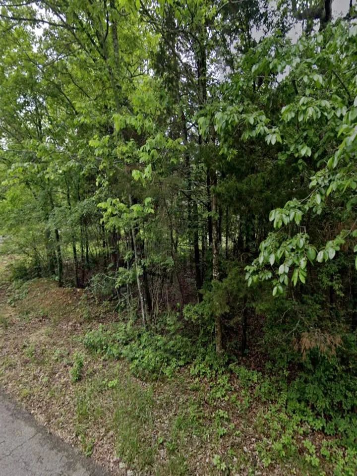 0.40 Acre Fairway Lot Near Crown Lake in Horseshoe Bend, AR in Izard County, AR