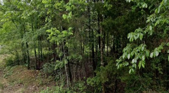0.40 Acre Fairway Lot Near Crown Lake in Horseshoe Bend, AR in Izard County, AR