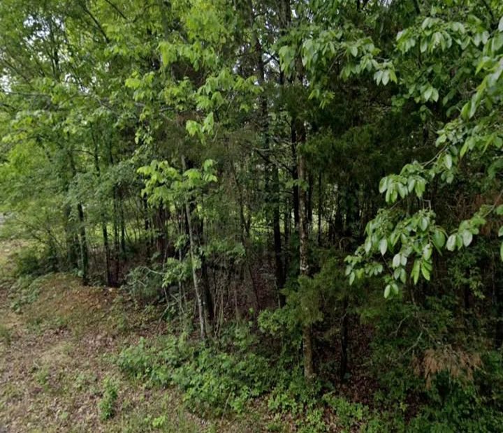 0.40 Acre Fairway Lot Near Crown Lake in Horseshoe Bend, AR in Izard County, AR