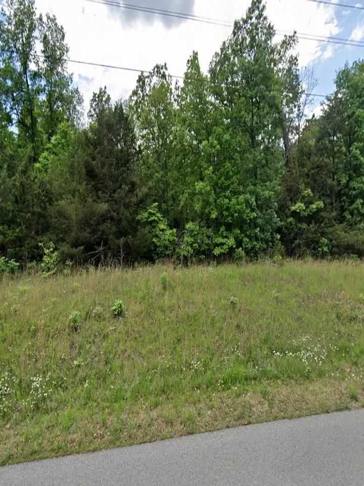 Paved Access Lot in Horseshoe Bend | Hold or Build Later in Izard County, AR