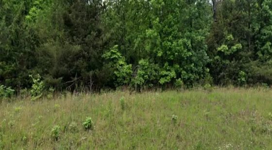 Paved Access Lot in Horseshoe Bend | Hold or Build Later in Izard County, AR