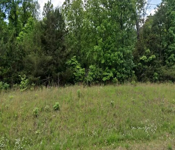 Paved Access Lot in Horseshoe Bend | Hold or Build Later in Izard County, AR