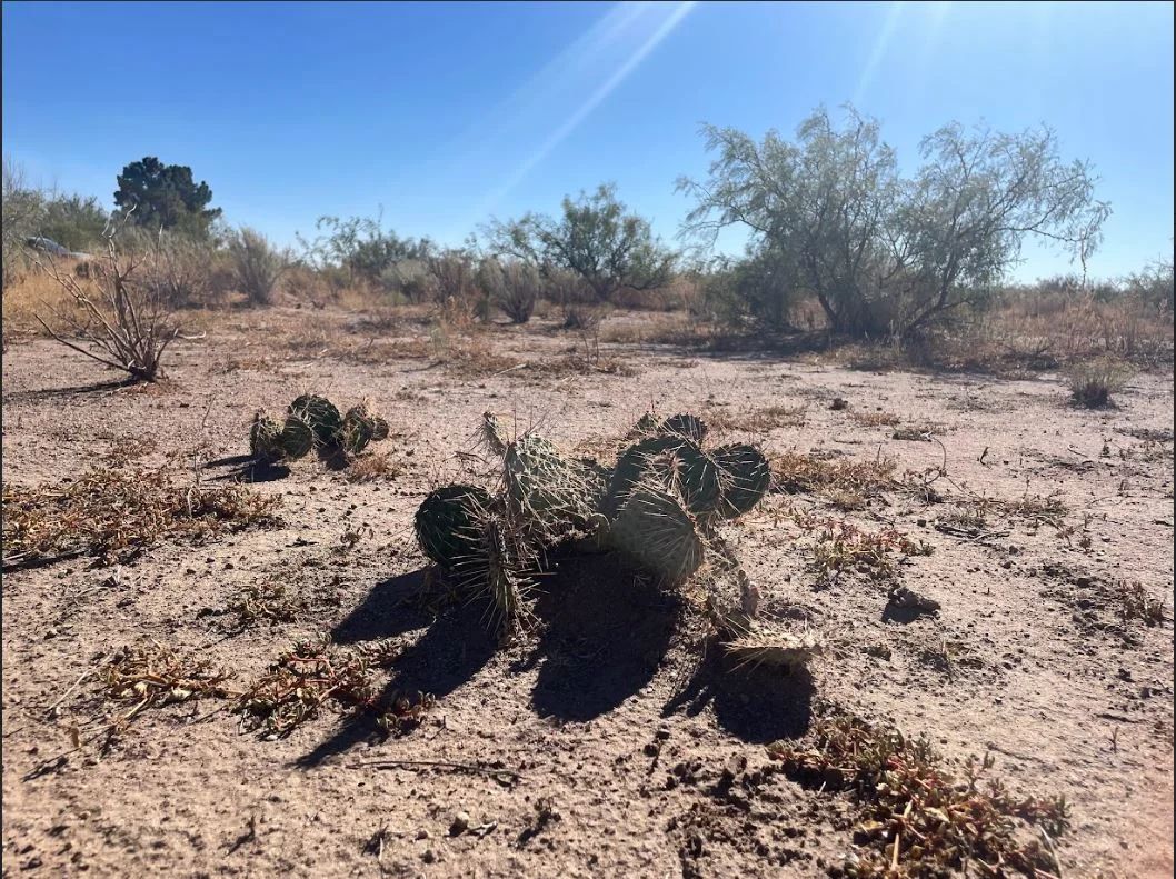 Luna, NM - 3054151048321 in Luna County, NM