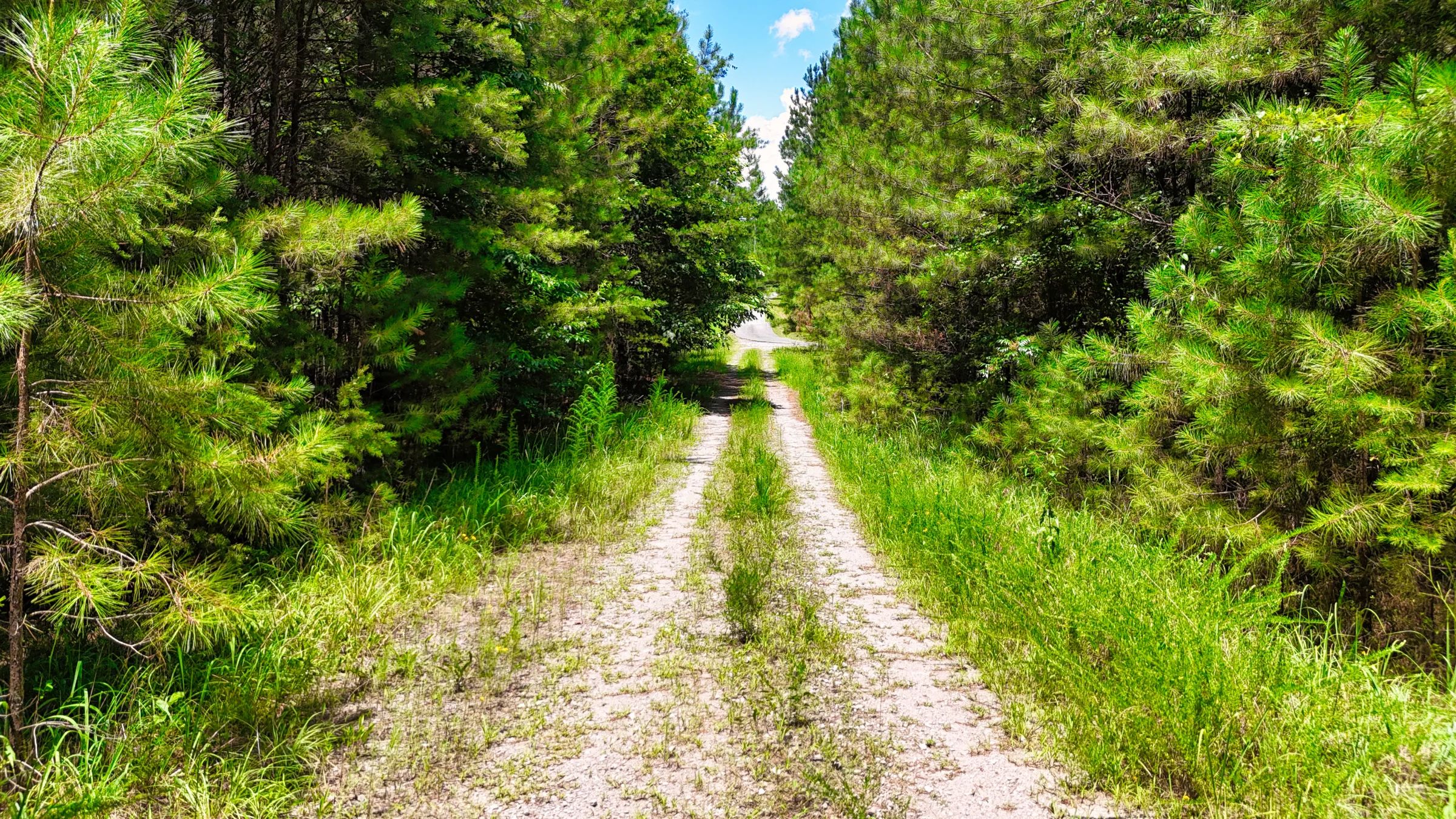 1.59 Acres Near Lake w/ Public Water - LAKE VIEWS in Winston County, AL