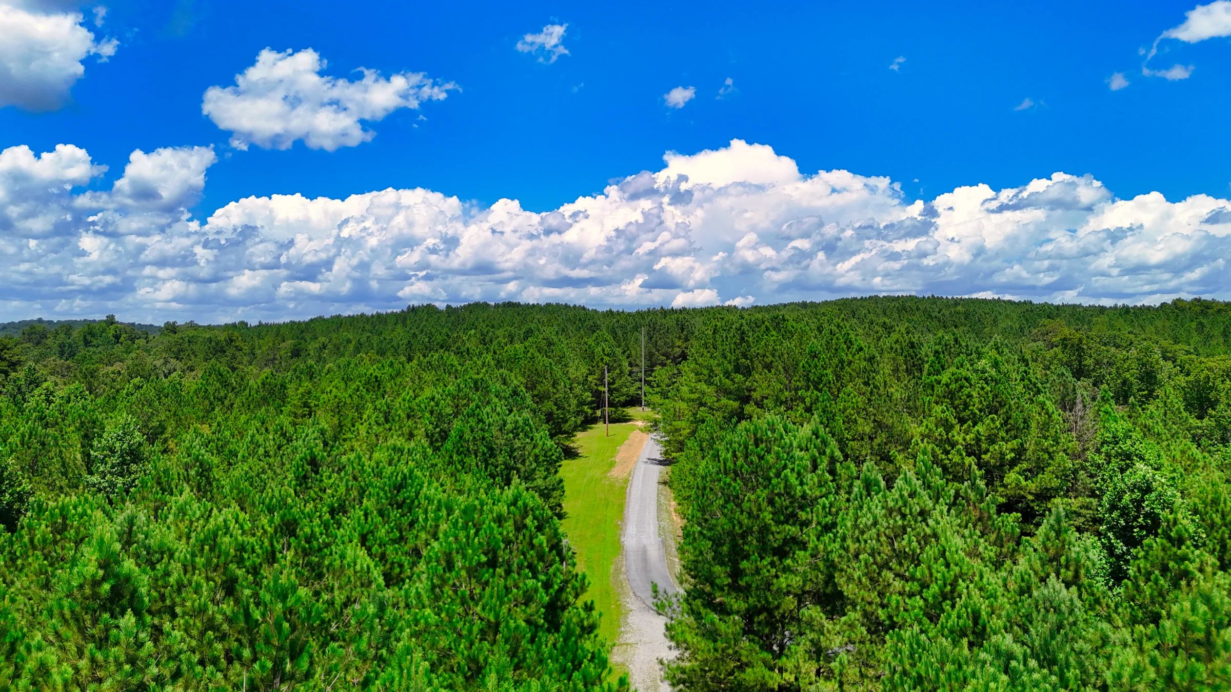 1.59 Acres Near Lake w/ Public Water - LAKE VIEWS in Winston County, AL