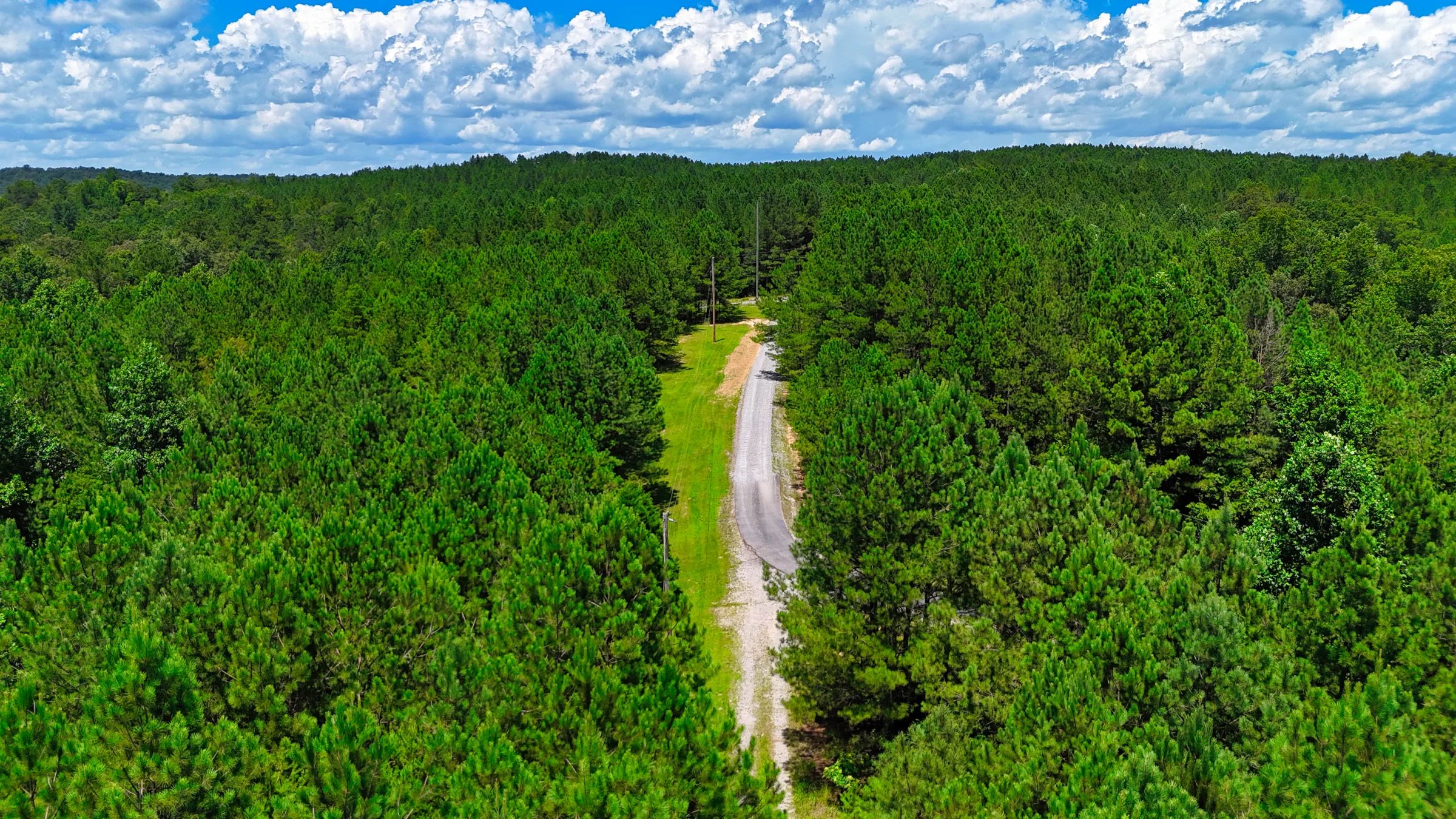 1.59 Acres Near Lake w/ Public Water - LAKE VIEWS in Winston County, AL