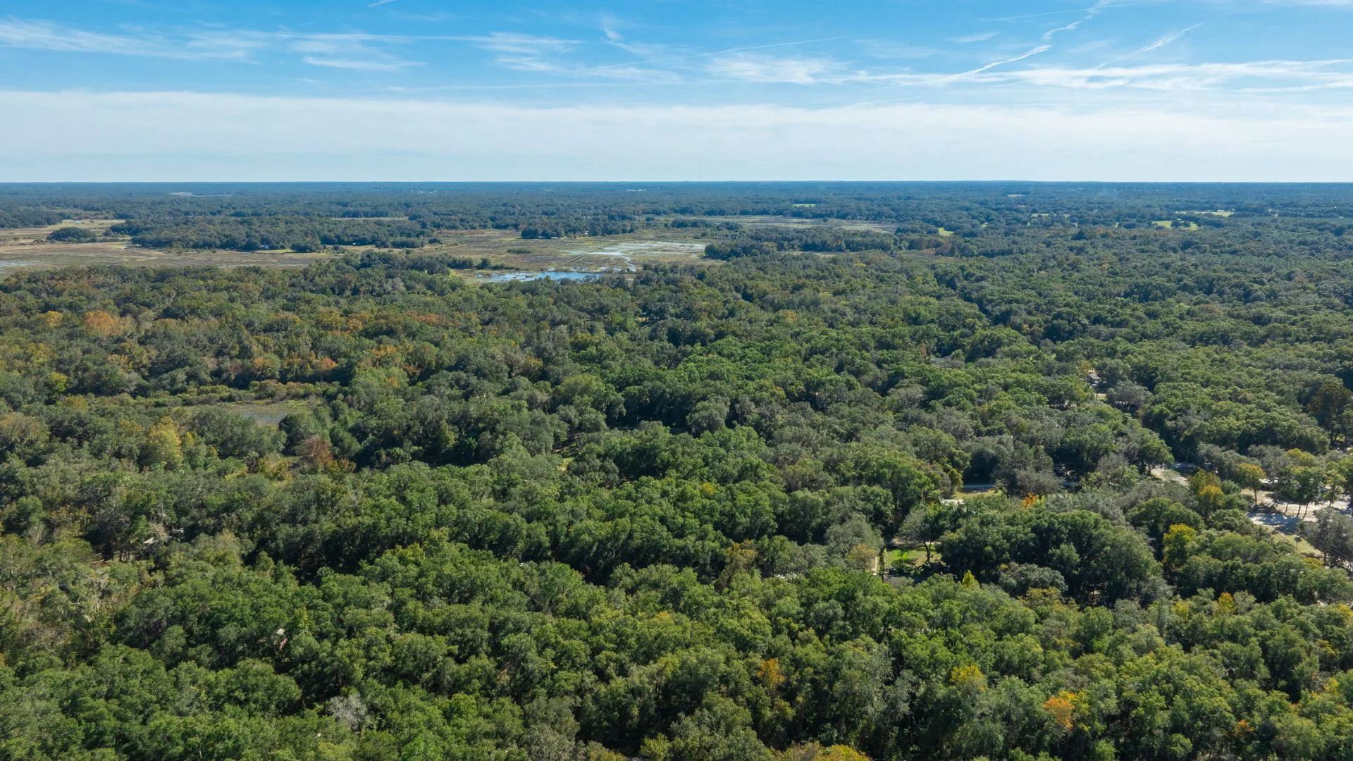 0.38 Acre Citra FL Property – Proximity to Gainesville and US-301 for Easy Access in Marion County, FL